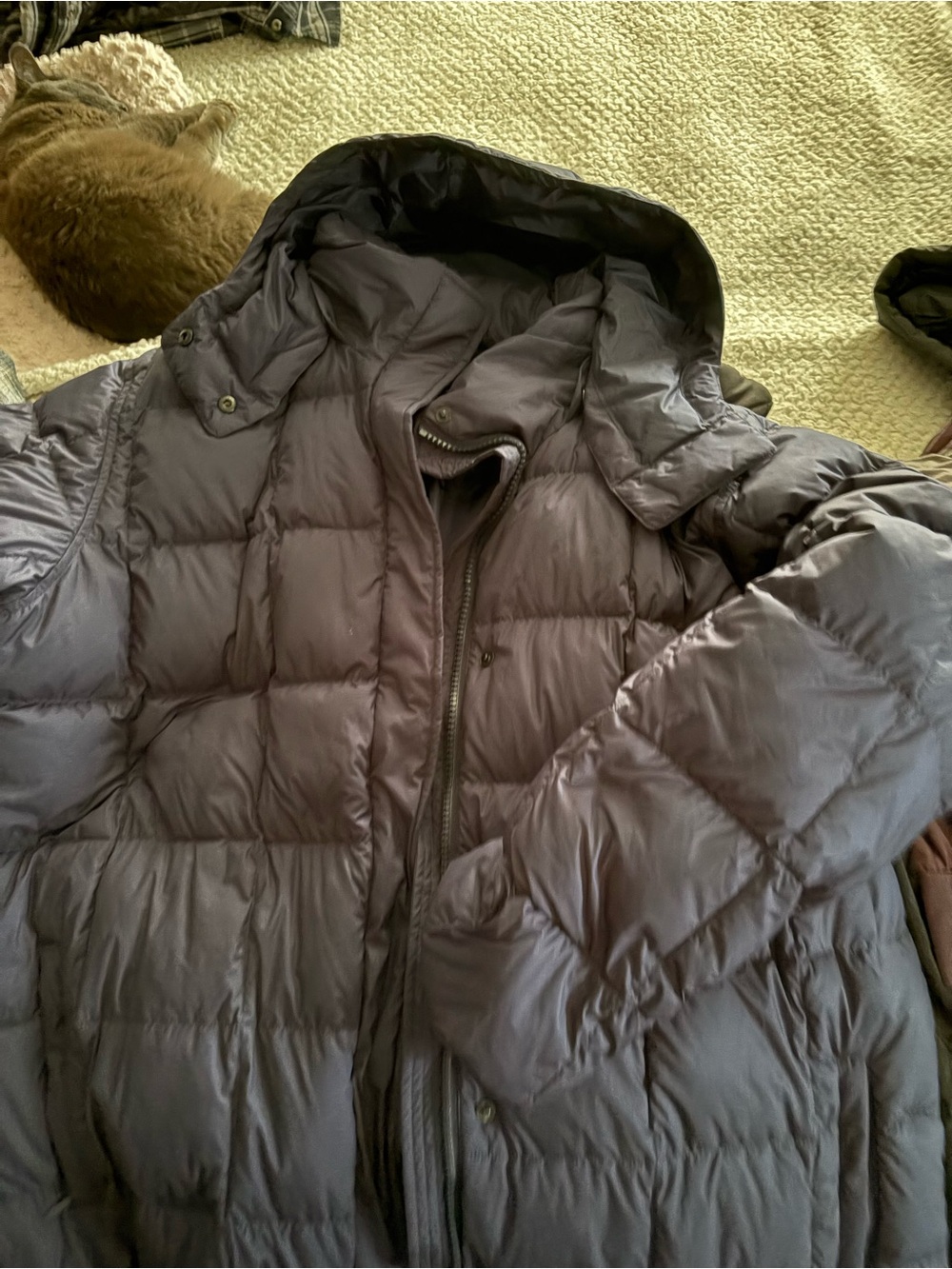 Men's Quilted Hooded Puffer Jacket - Dark Gray